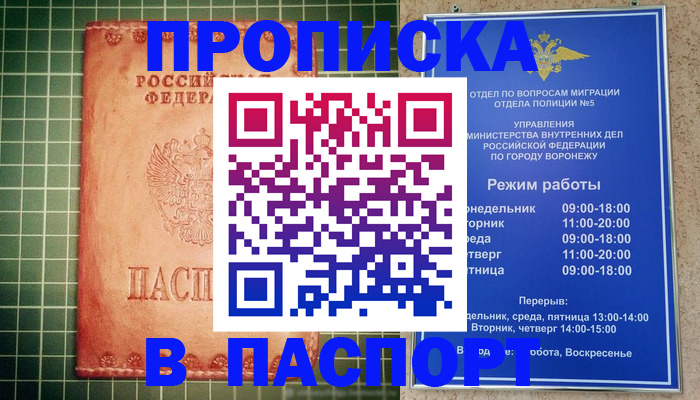 прописка гарантия в Люберцах